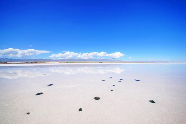 青海湖-茶卡鹽湖-塔爾寺2日游