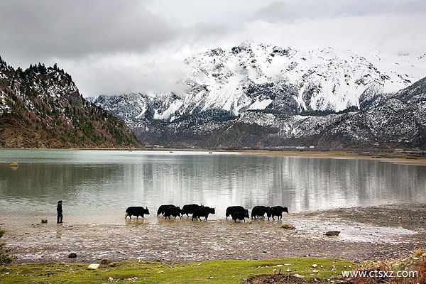 上海到西藏旅游攻略