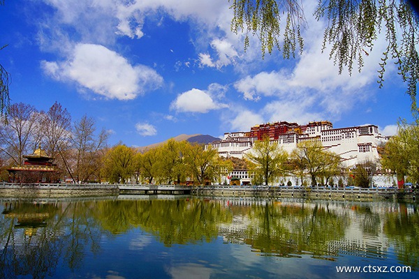 大連到西藏旅游費用