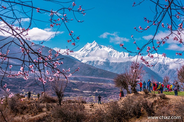 去西藏跟團好嗎