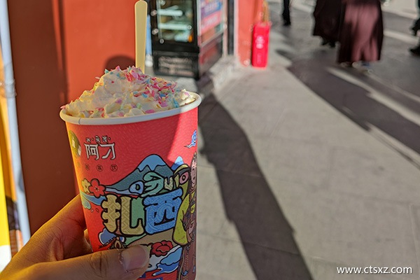 西藏旅游花費(fèi)