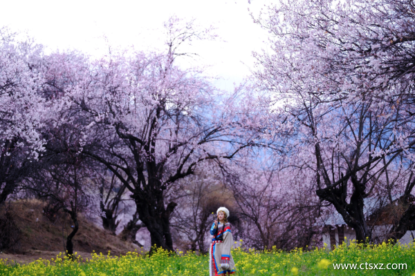 三月去西藏旅游合適嗎